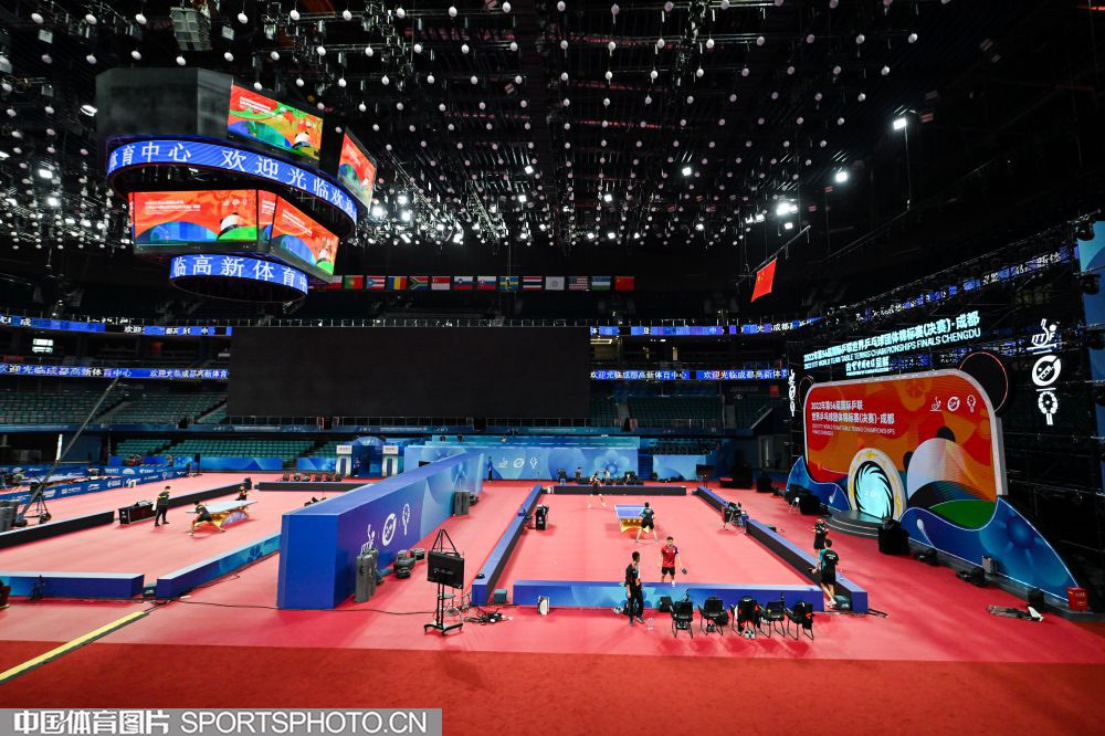 世界杯场外趣闻集锦